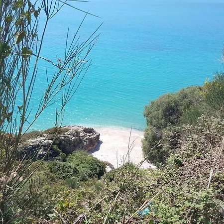 Lori Tatil Evi *