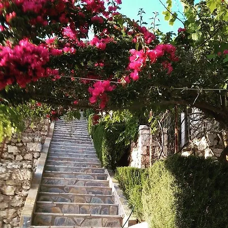 Lori Tatil Evi